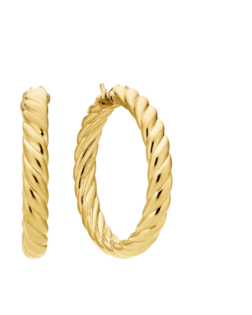 Picture for category Earrings